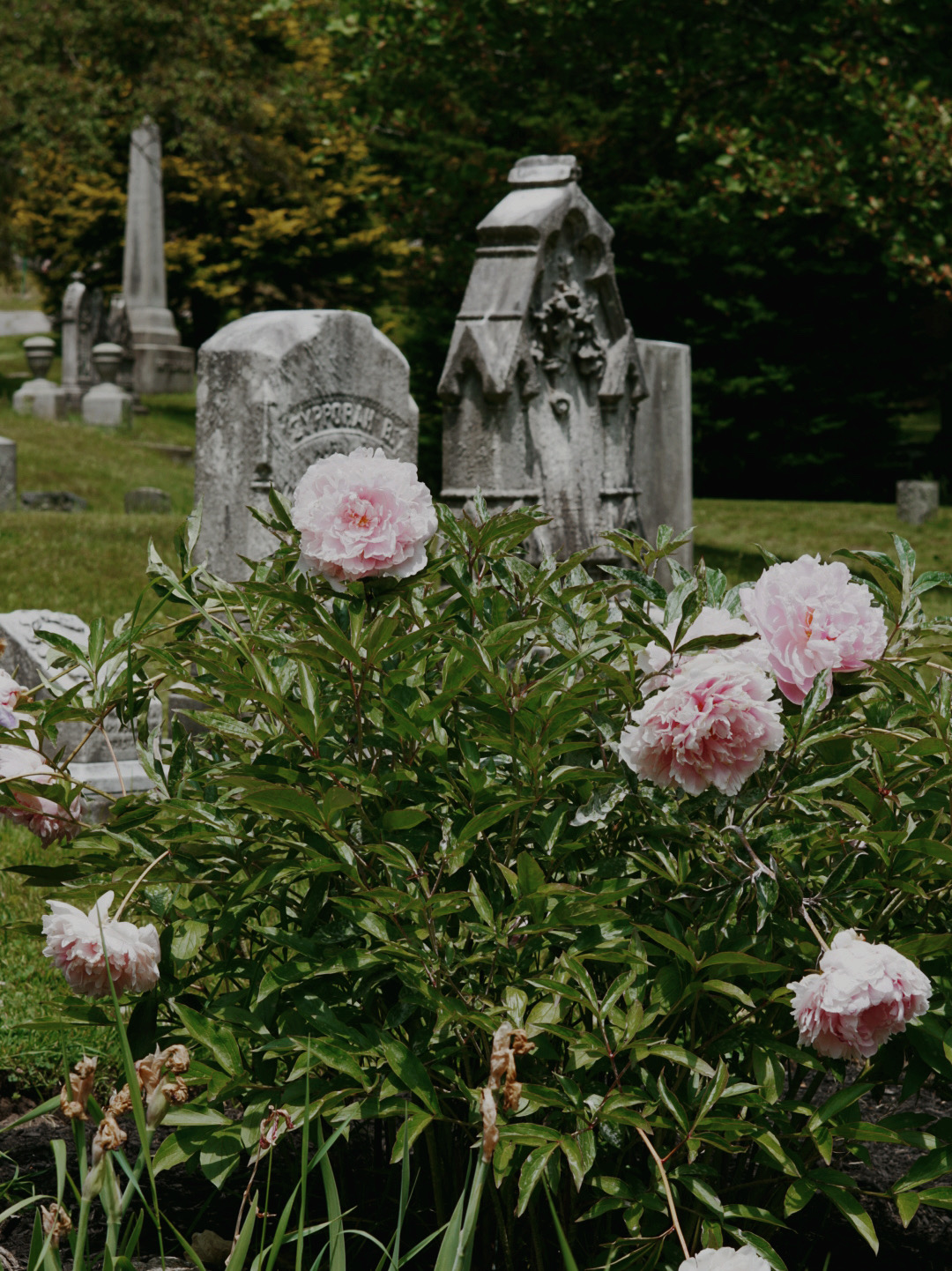 garden cemetery